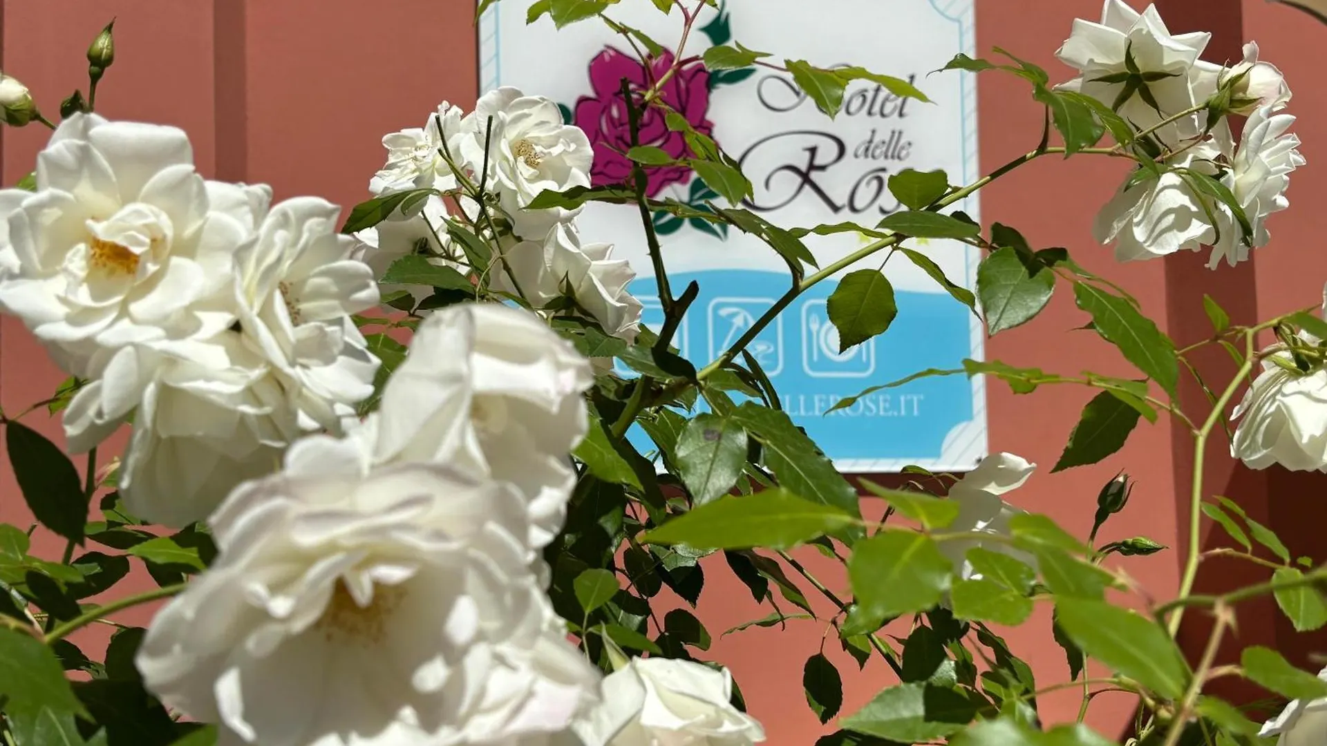 Hotel Delle Rose San Bartolomeo Al Mare