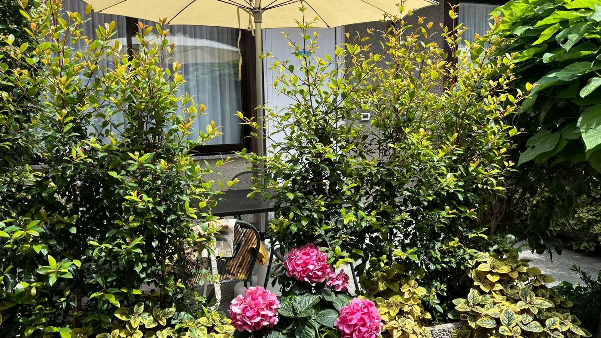 Hotel Delle Rose San Bartolomeo Al Mare